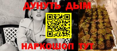 apvp Дмитров