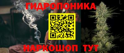 apvp Дмитров